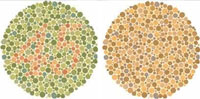 Links: De Ishihara-test zoals personen zonder kleurenblindheid hem zien. Rechts: De Ishihara-test bij rood-groen kleurenblindheid (het cijfer is in de rechter figuur niet meer zichtbaar).